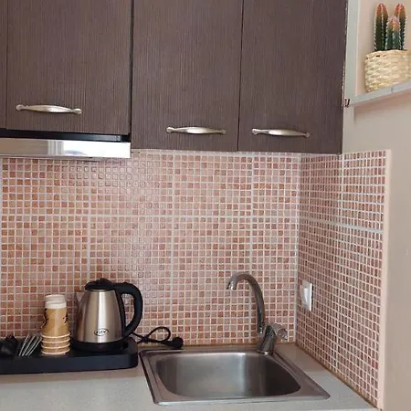 Cactus Mini Nidhrion