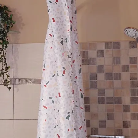 Cactus Mini 니드리