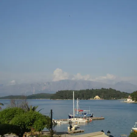 Cactus Mini * Nidhrion