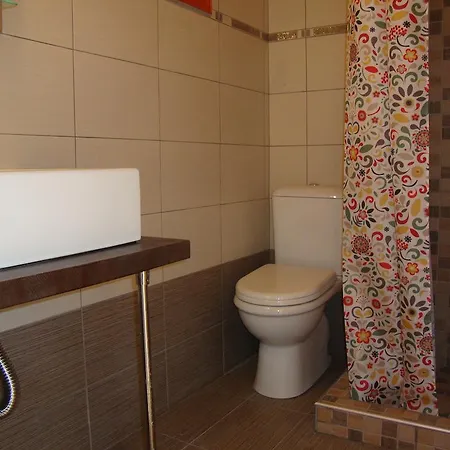 Cactus Mini Nidhrion